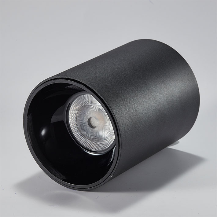 Apex Surface Mounted Downlight