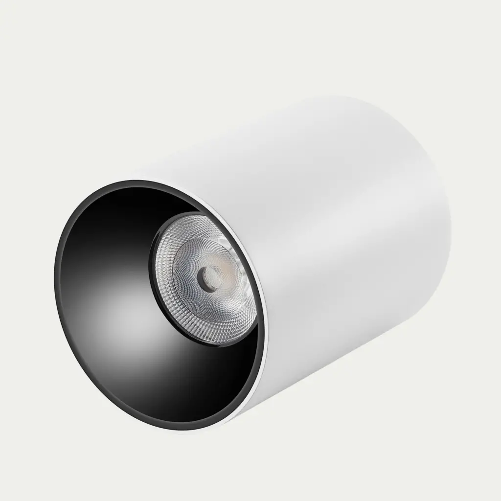 Aquatic Waterproof Downlight