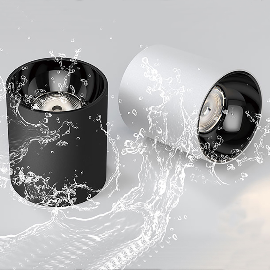 Aquatic wet location downlight