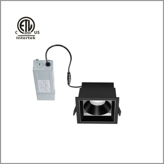 Castor trim downlight