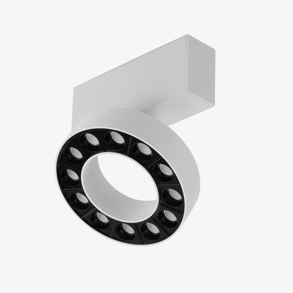 Halo-D12: Magnetic Track Head