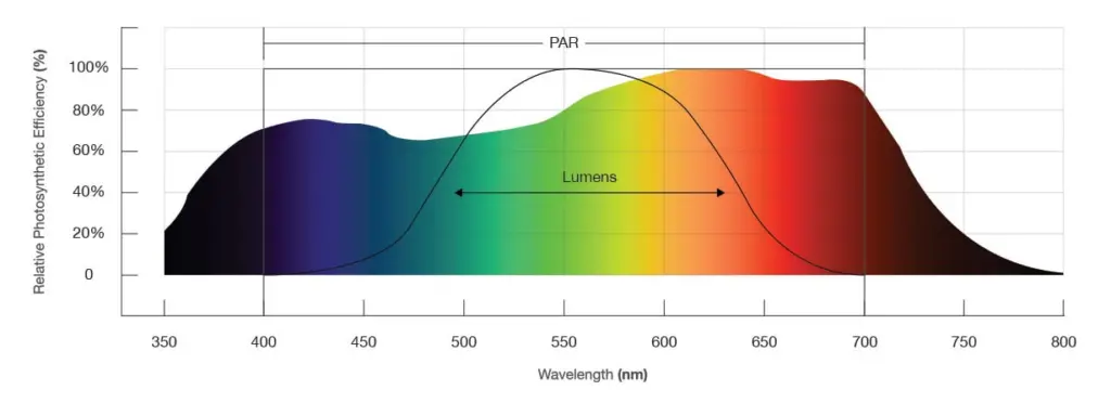 Lumens vs. PAR