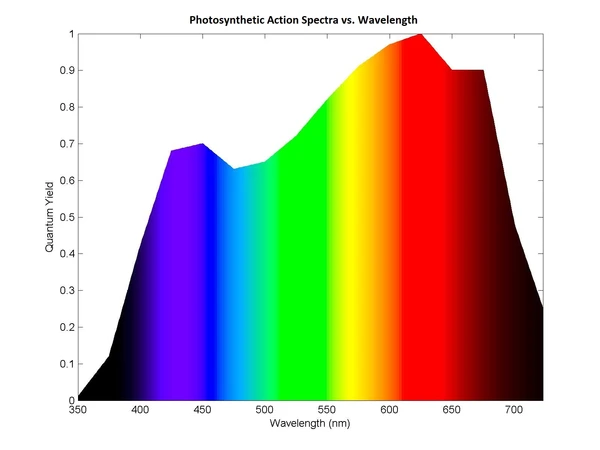 Relative quantum yield per wavelength