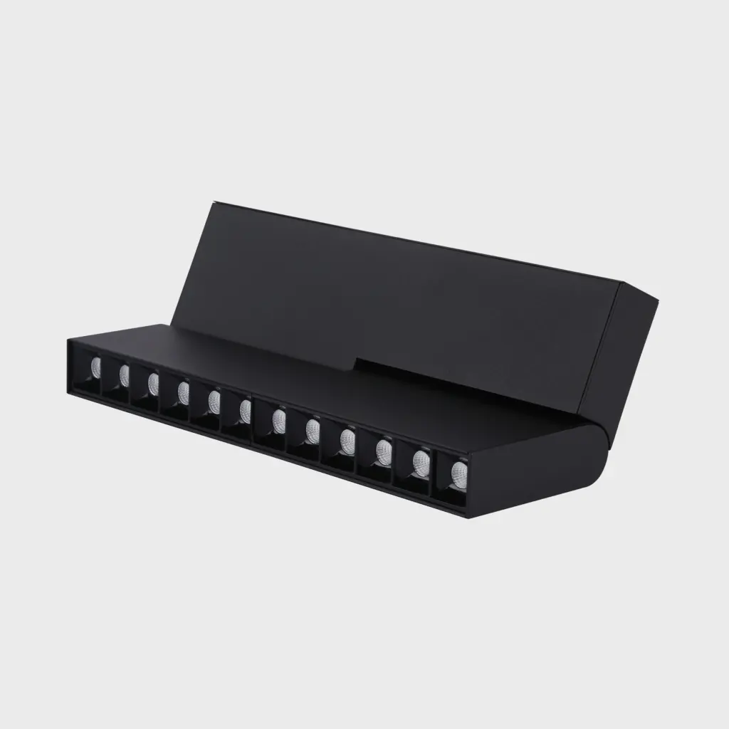 Fold12: Magnetic Track Head