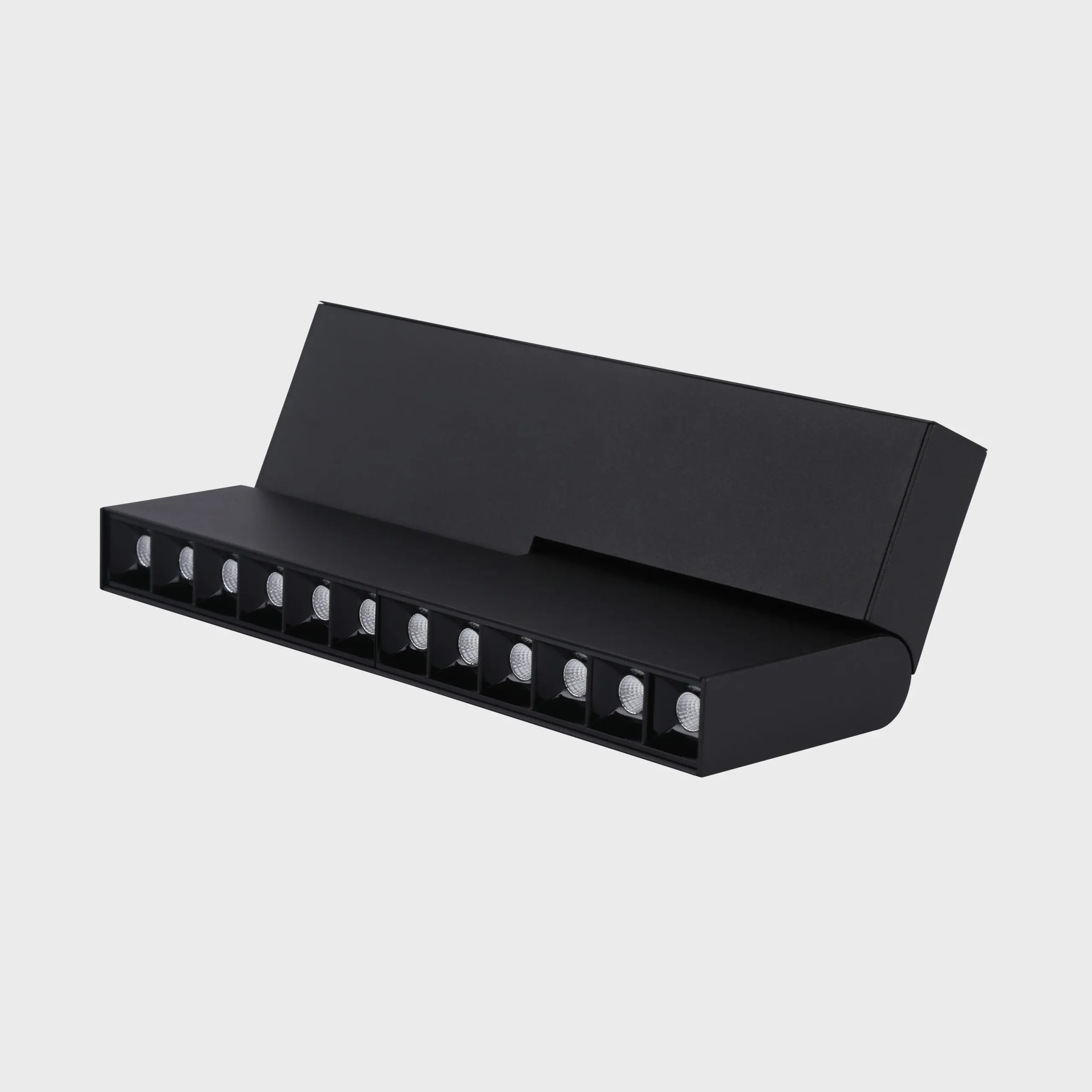 Fold12: Magnetic Track Head