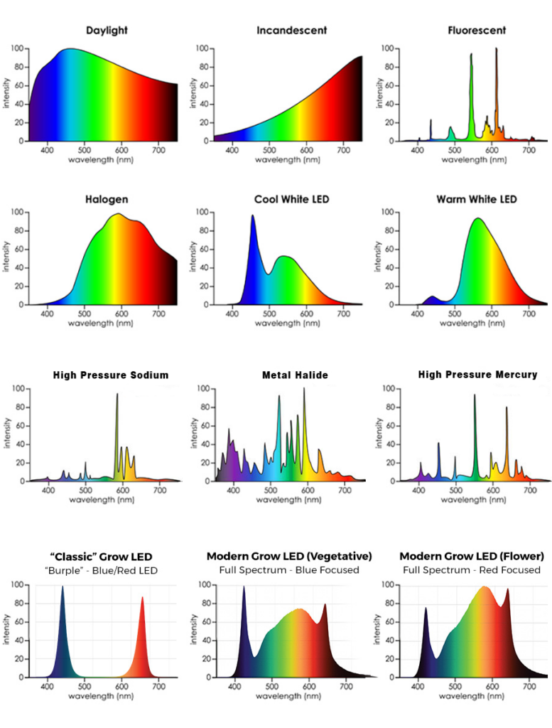 Spectra of Various Horticultural lighting systems (grow lights)
