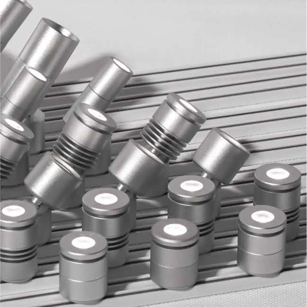 Maggie Petite: Magnetic Track