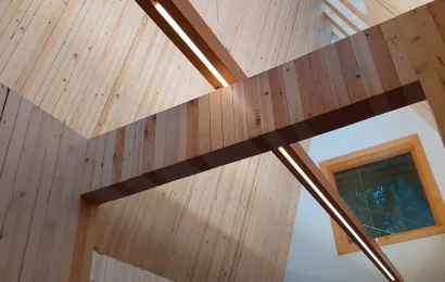 Custom Linear Light for Meristem Chapel